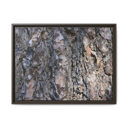 Weathered Patterns - Unique Stretched Canvas Wall Art - Art By Earth