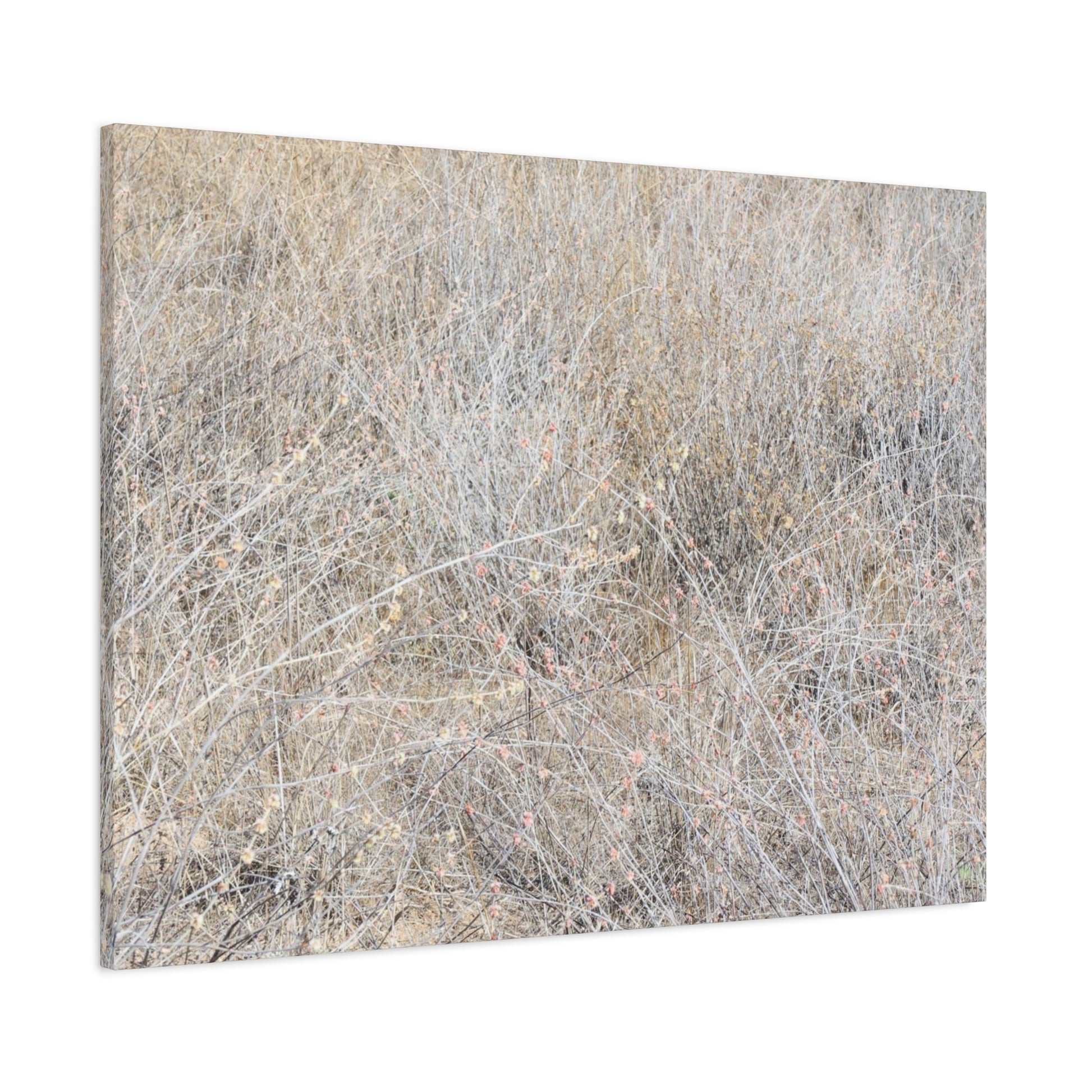 Tangled Whispers of Autumn's Fading Breath - Unique Frameless Canvas Wall Art - Art By Earth