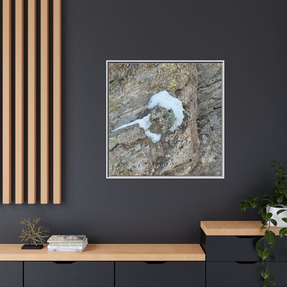 Lichen's Embrace - Unique Stretched Canvas Wall Art