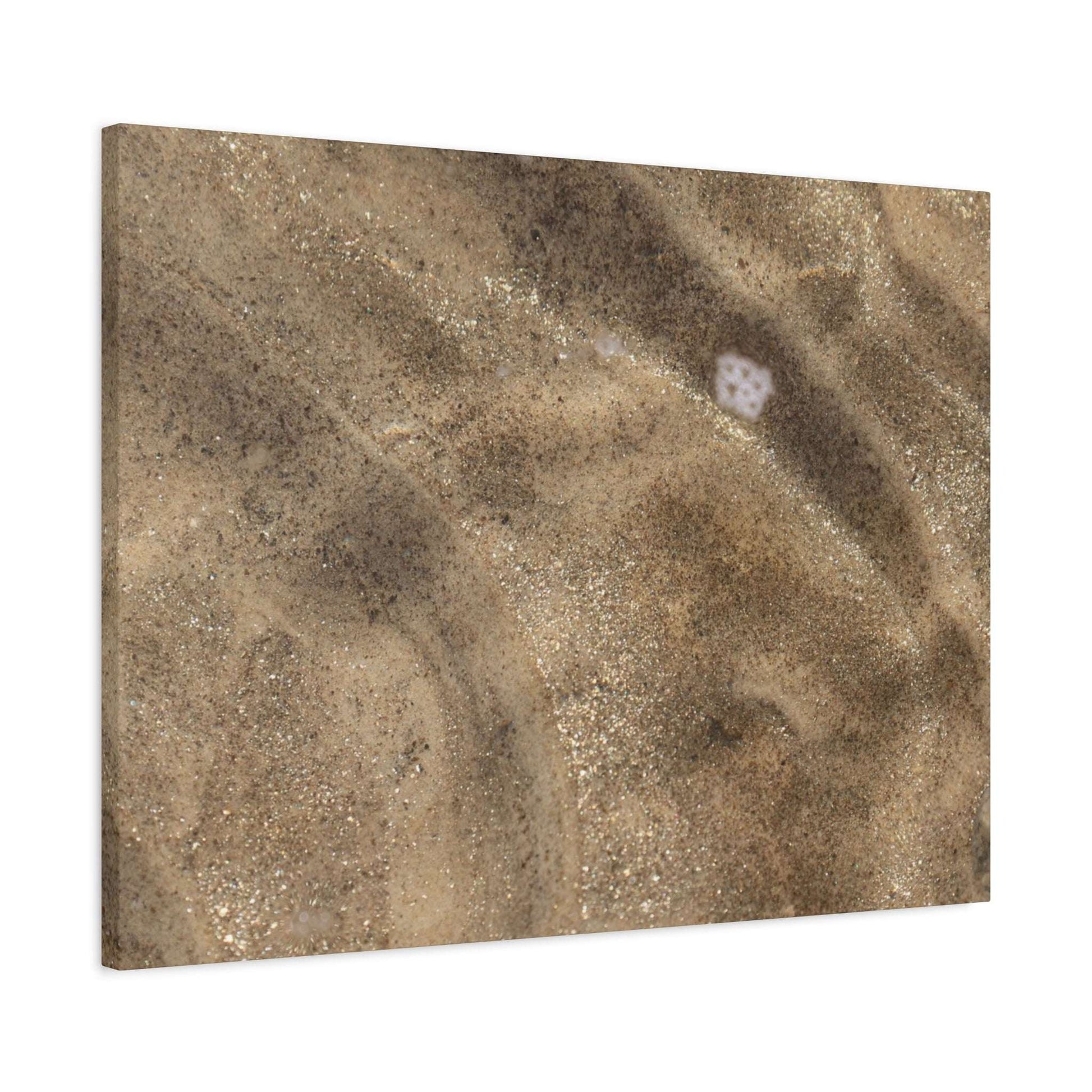 Sandy Shore Impressions - Unique Frameless Canvas Wall Art - Art By Earth
