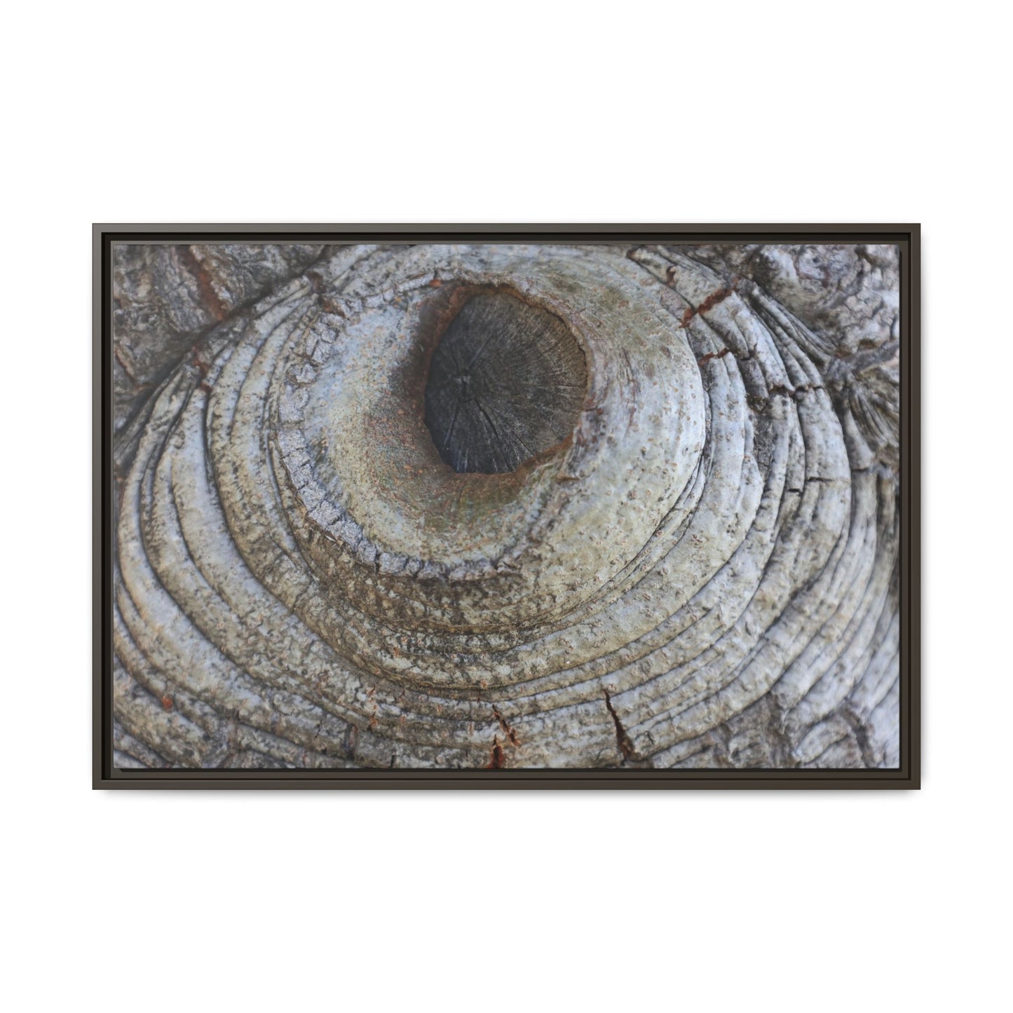 Echoes of Time - Unique Stretched Canvas Wall Art - Art By Earth