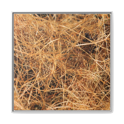 Dried Grass - Unique Stretched Canvas Wall Art - Art By Earth