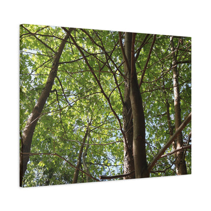 Canopy of Light - Unique Frameless Canvas Wall Art