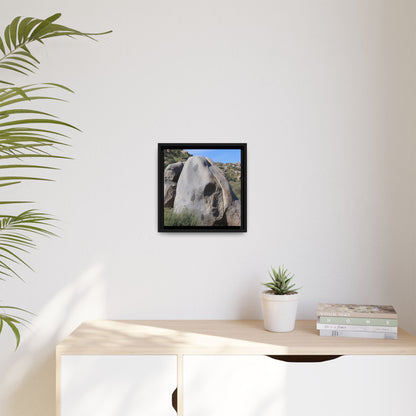 Skull Rock Desert - Unique Stretched Canvas Wall Art - Art By Earth