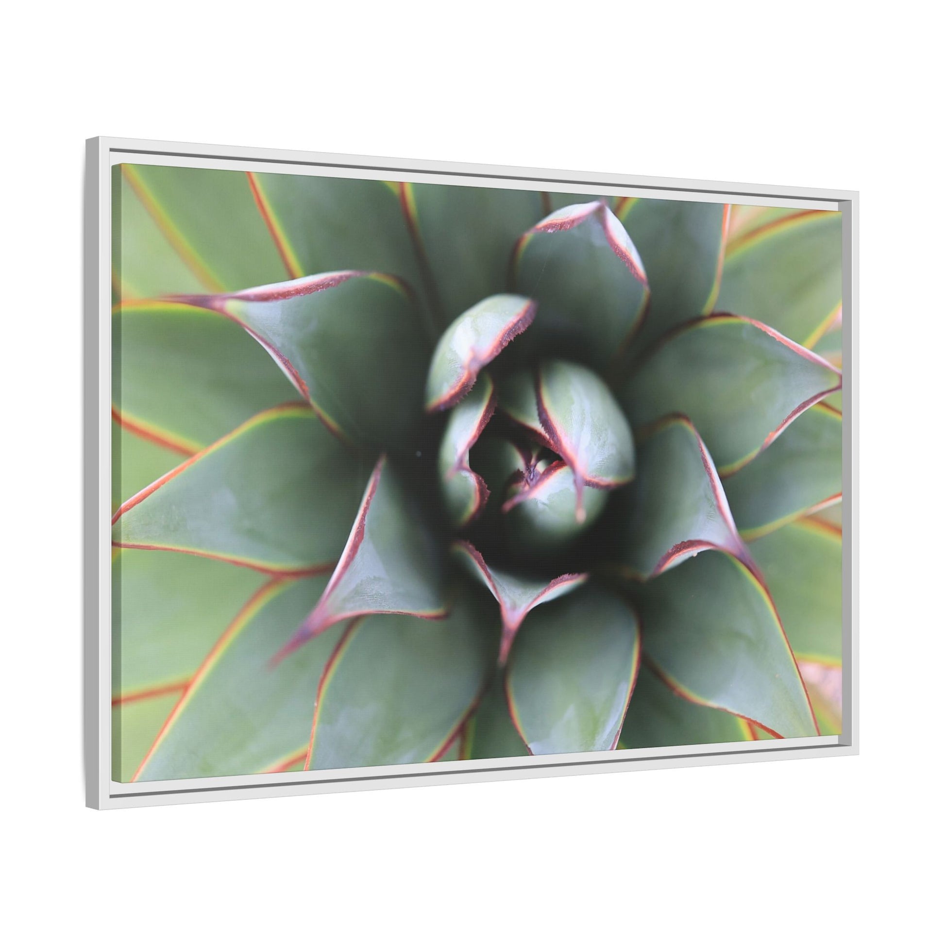 Spiky Elegance - Unique Stretched Canvas Wall Art - Art By Earth