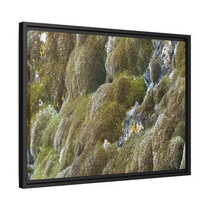 Moss Symphony - Unique Stretched Canvas Wall Art