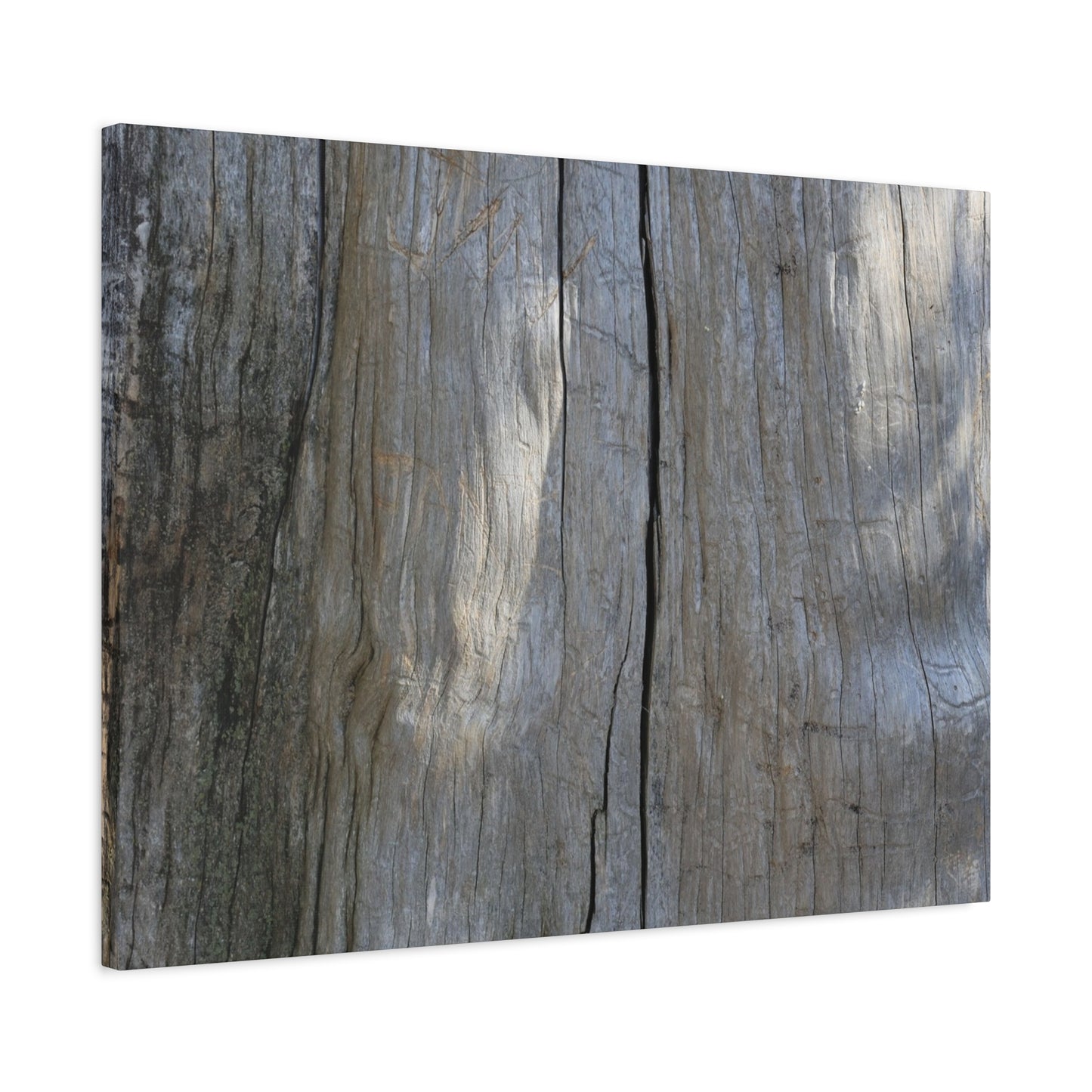 Split Log - Unique Frameless Canvas Wall Art