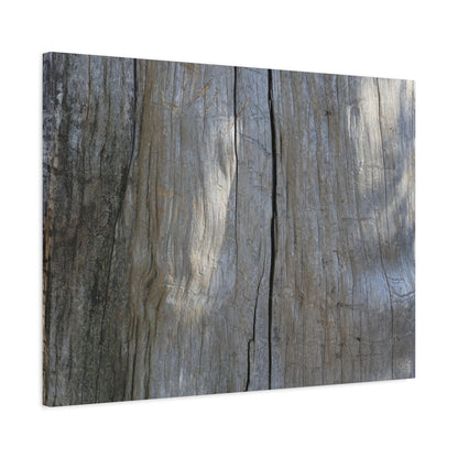 Split Log - Unique Frameless Canvas Wall Art