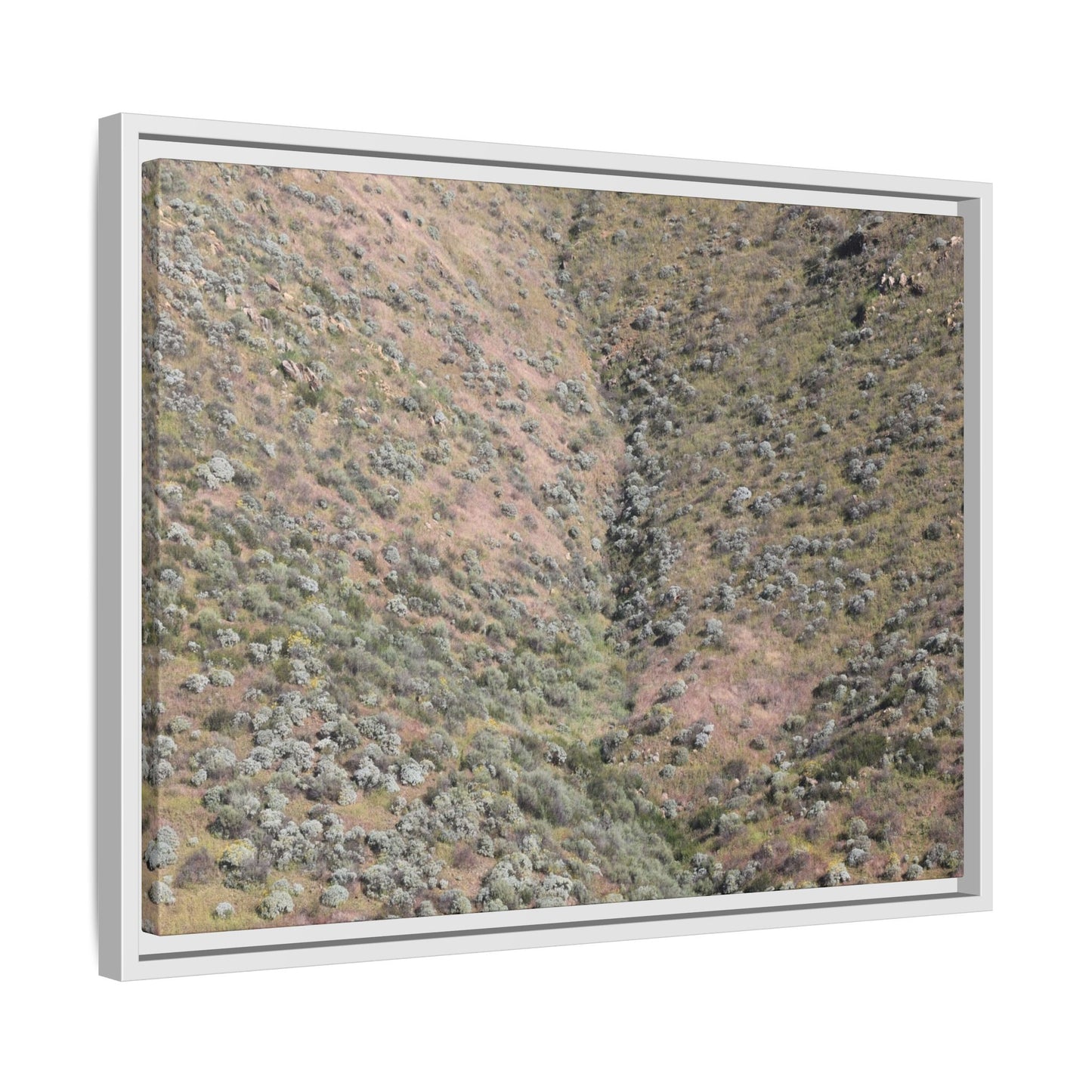 Mountain Slope with Desert Vegetation - Unique Stretched Canvas Wall Art - Art By Earth
