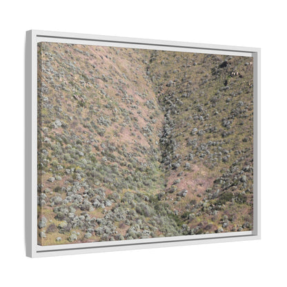 Mountain Slope with Desert Vegetation - Unique Stretched Canvas Wall Art - Art By Earth