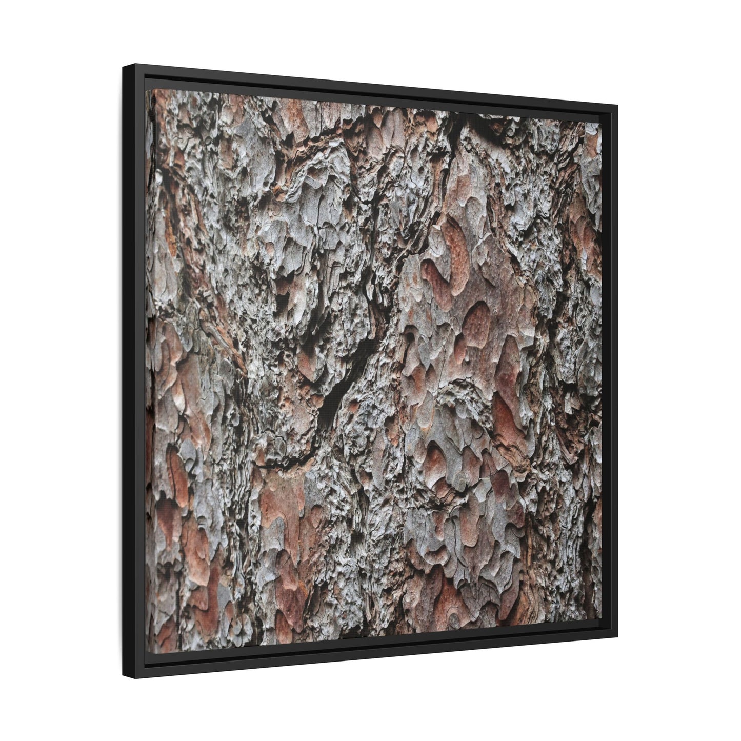 Bark Texture Symphony - Unique Stretched Canvas Wall Art - Art By Earth