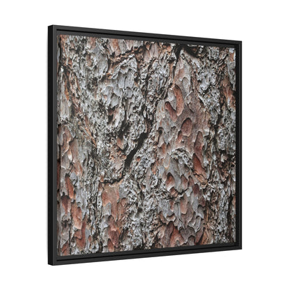 Bark Texture Symphony - Unique Stretched Canvas Wall Art - Art By Earth