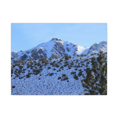 Snowy Peaks and Stoic Pines - Unique Frameless Canvas Wall Art