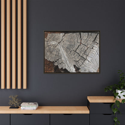 Time's Signature - Unique Stretched Canvas Wall Art - Art By Earth