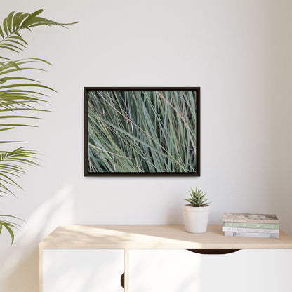 Grassland Symphony - Unique Stretched Canvas Wall Art - Art By Earth