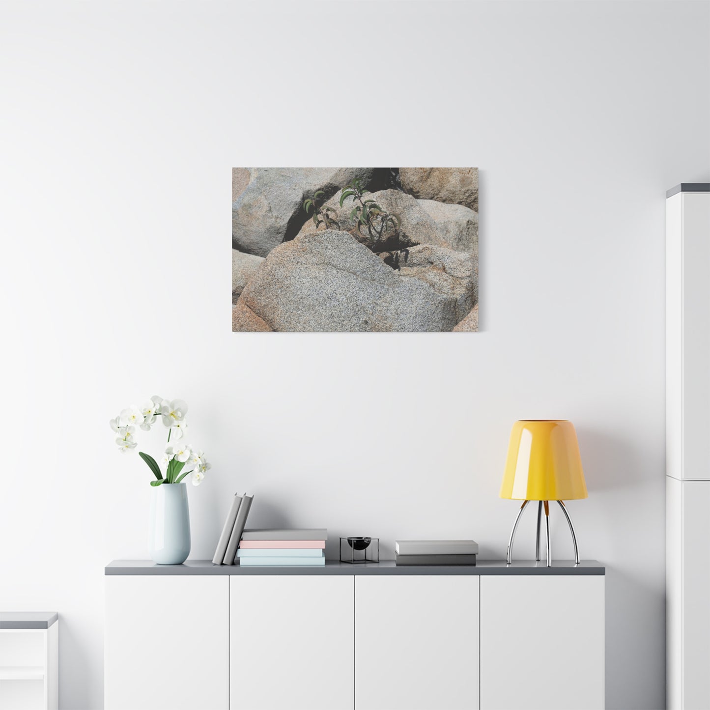 Desert Plant Survives - Unique Frameless Canvas Wall Art
