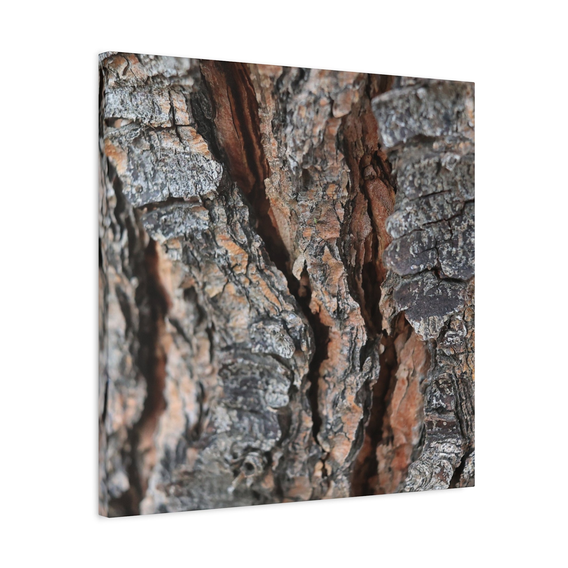 Rough Whispers - Unique Frameless Canvas Wall Art - Art By Earth