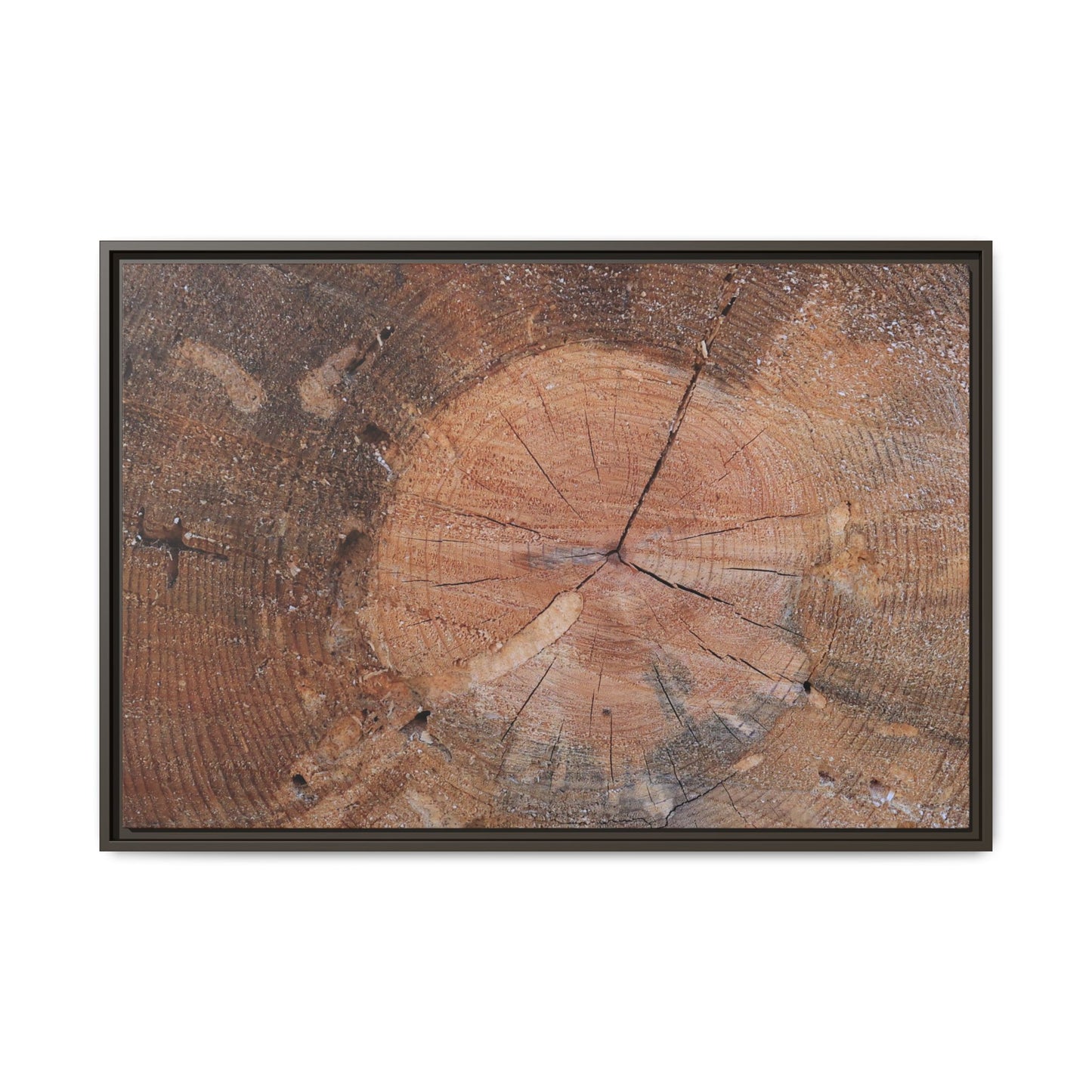 Concentric Memories - Unique Stretched Canvas Wall Art - Art By Earth