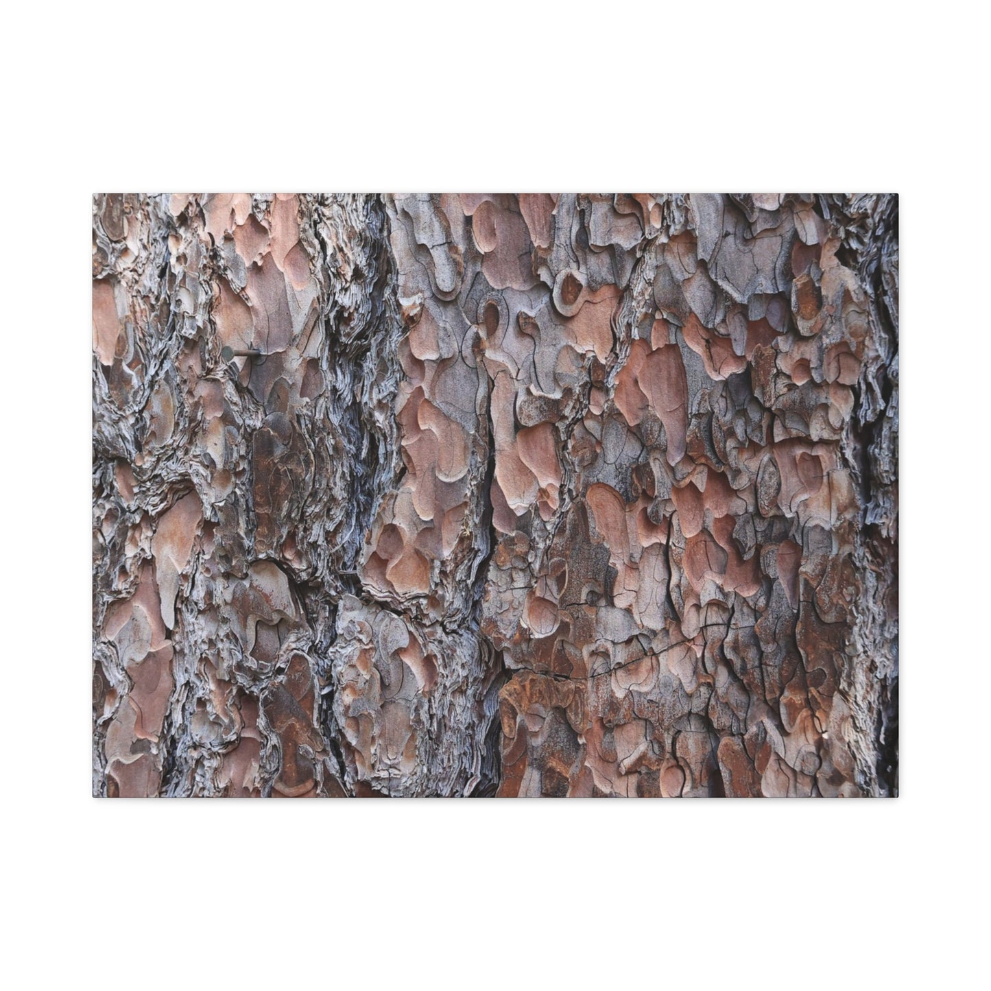 Woodland Armor - Unique Frameless Canvas Wall Art - Art By Earth