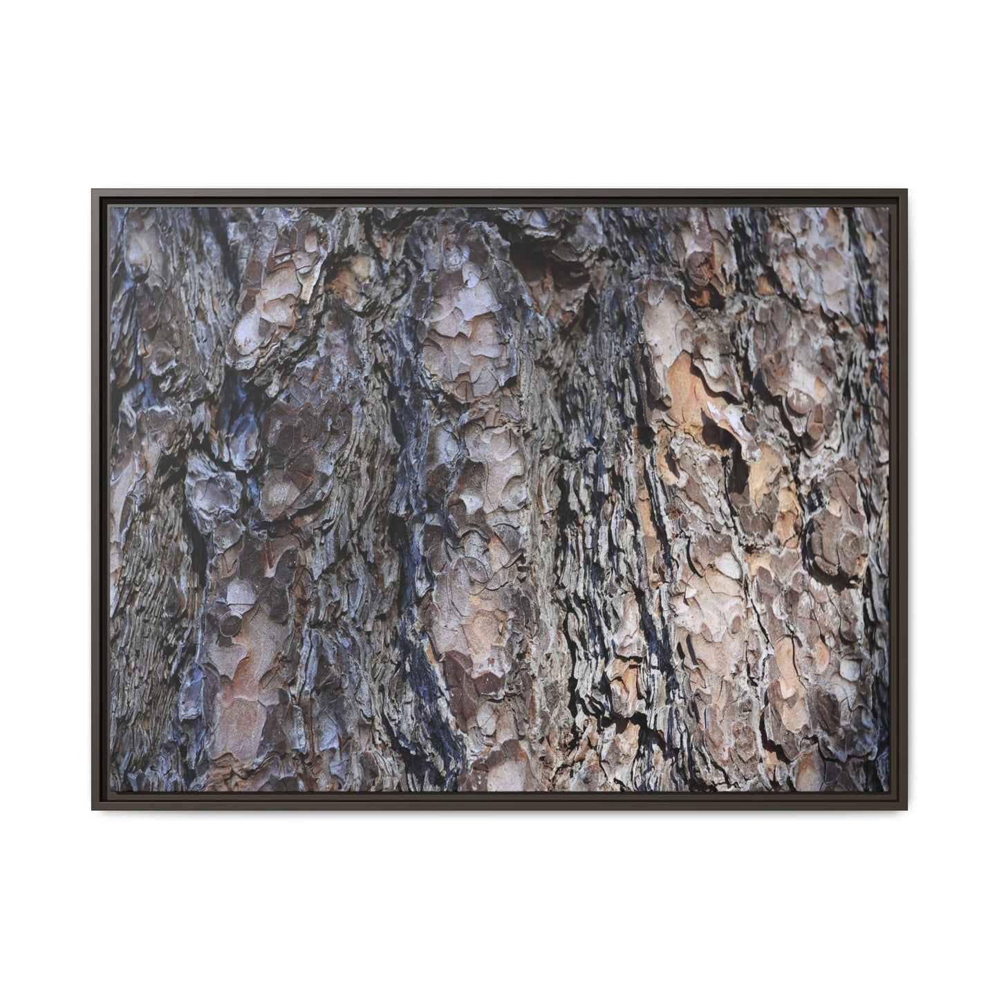 Weathered Patterns - Unique Stretched Canvas Wall Art - Art By Earth