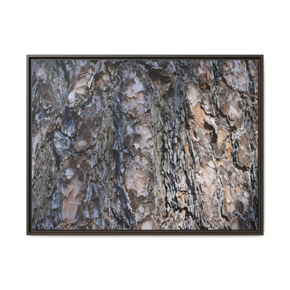 Weathered Patterns - Unique Stretched Canvas Wall Art - Art By Earth