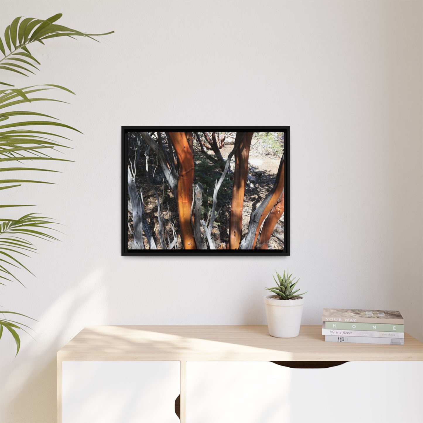 Eucalyptus Grove - Unique Stretched Canvas Wall Art