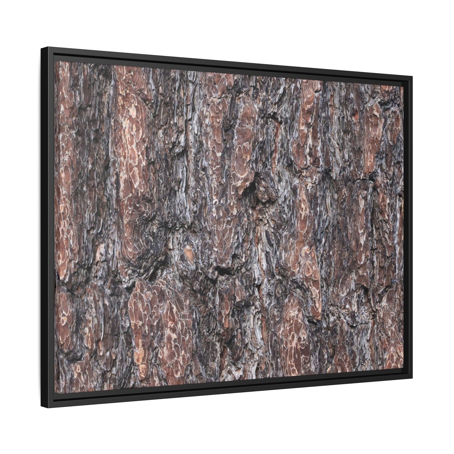 Echoes of Wood - Unique Stretched Canvas Wall Art