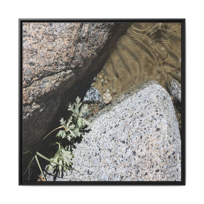 Resilience in Stone - Unique Stretched Canvas Wall Art - Art By Earth