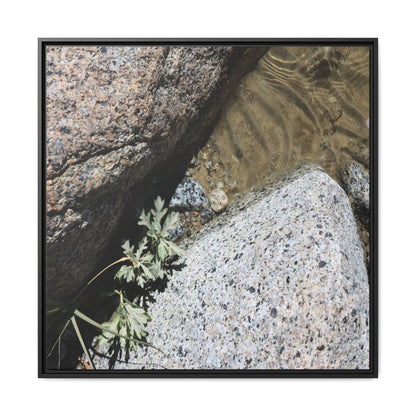 Resilience in Stone - Unique Stretched Canvas Wall Art - Art By Earth