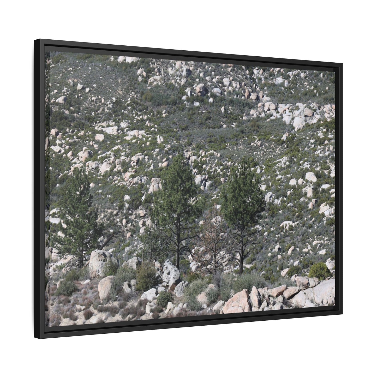 Rocky Hillside with Pine Trees - Unique Stretched Canvas Wall Art - Art By Earth