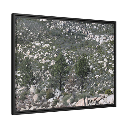 Rocky Hillside with Pine Trees - Unique Stretched Canvas Wall Art - Art By Earth