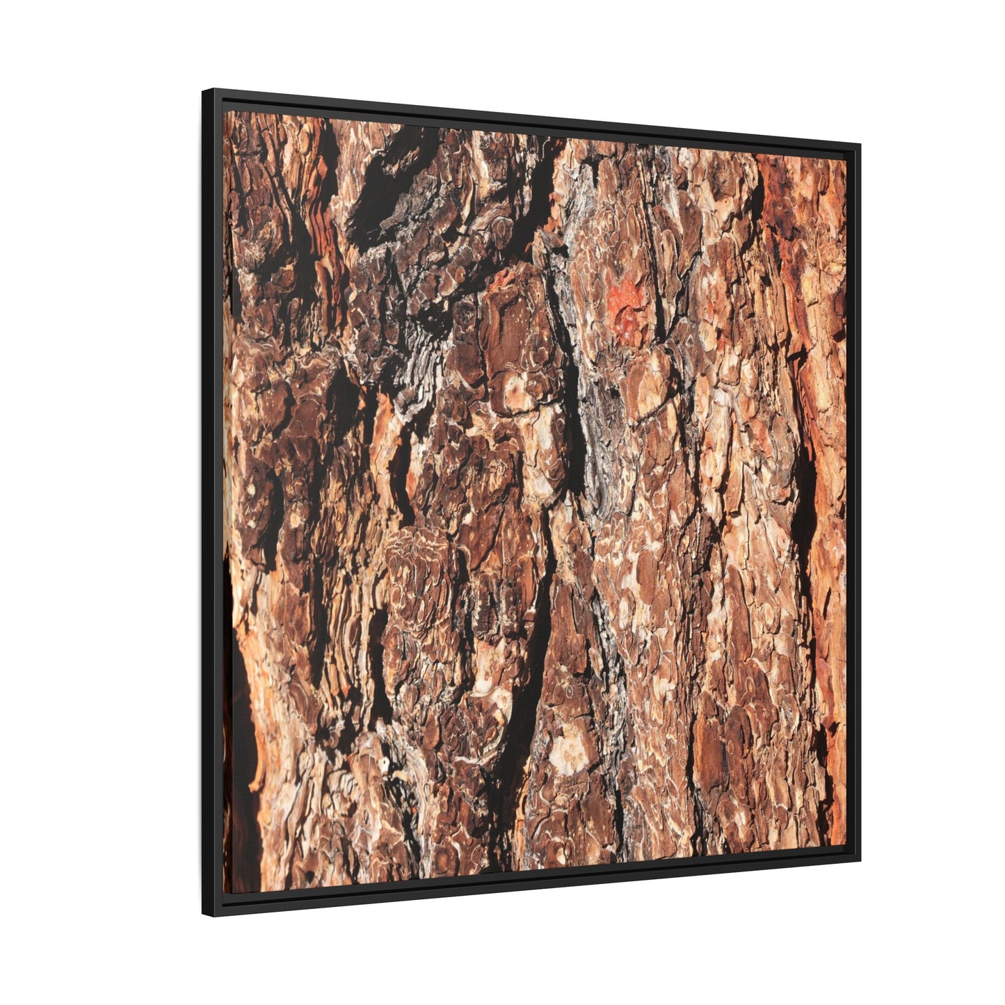 Nature's Rugged Canvas - Unique Stretched Canvas Wall Art