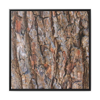 Tree's Timeworn Tale - Unique Stretched Canvas Wall Art - Art By Earth