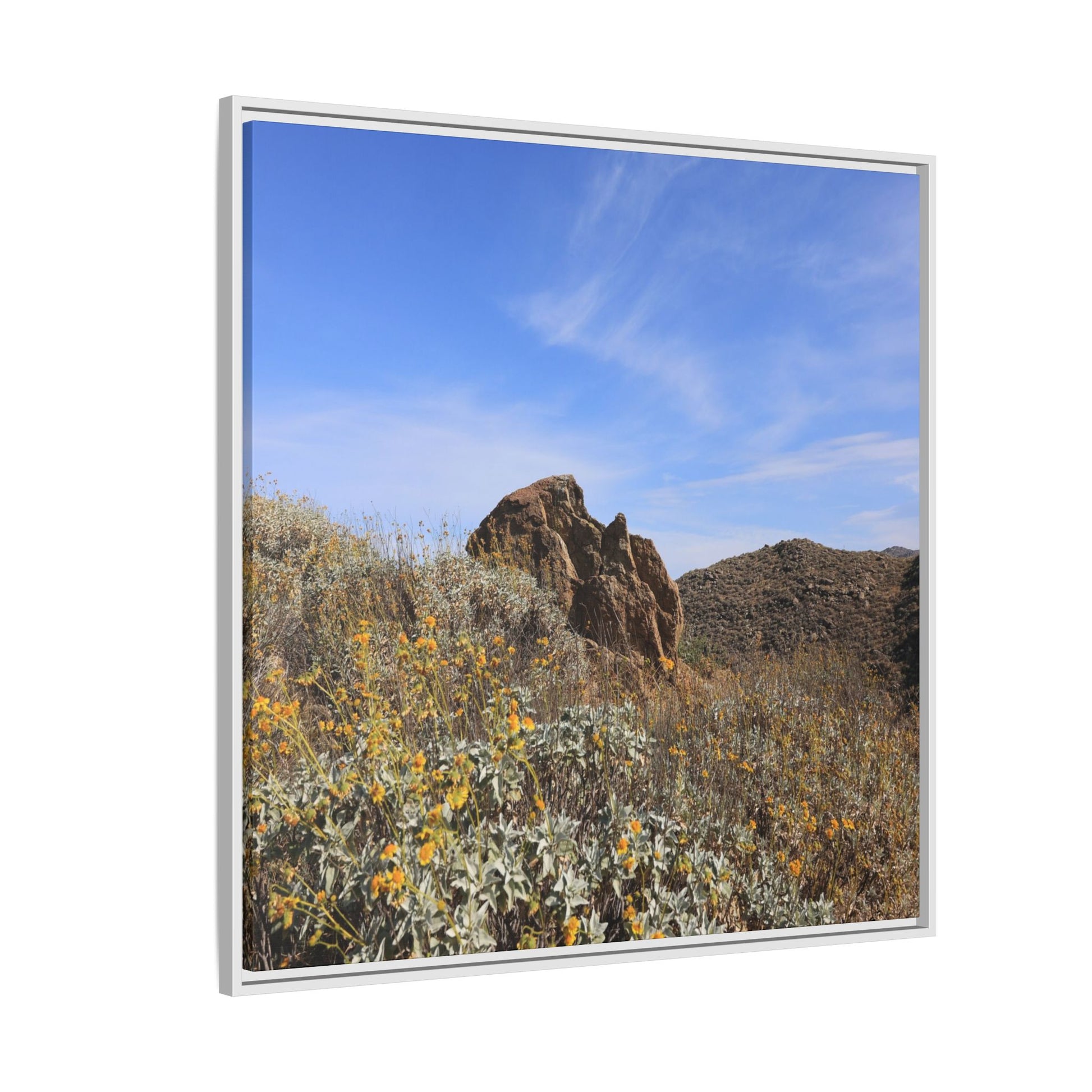 Golden Flowers in Arid Landscape - Unique Stretched Canvas Wall Art - Art By Earth