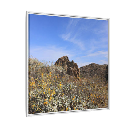 Golden Flowers in Arid Landscape - Unique Stretched Canvas Wall Art - Art By Earth