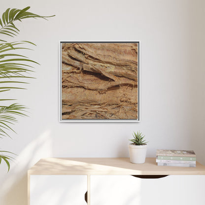 Splintered Bark - Unique Stretched Canvas Wall Art - Art By Earth