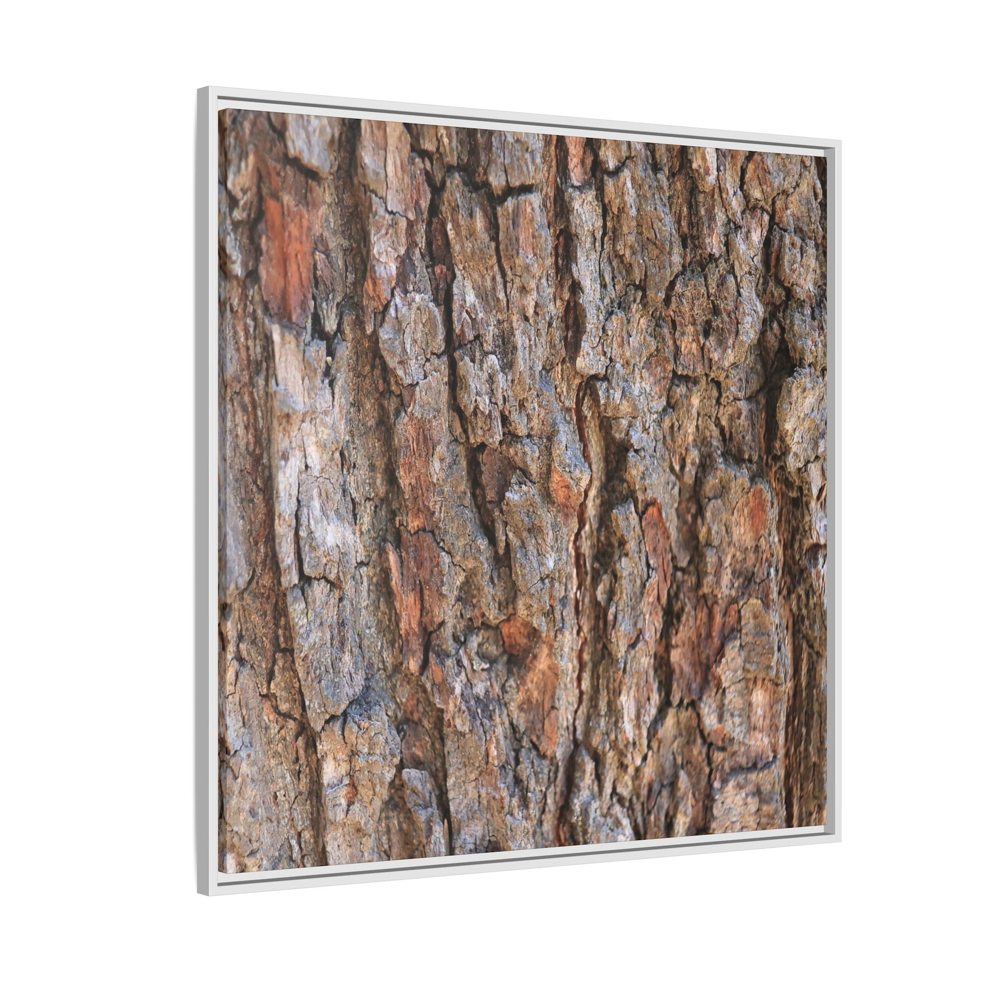 Tree's Timeworn Tale - Unique Stretched Canvas Wall Art - Art By Earth