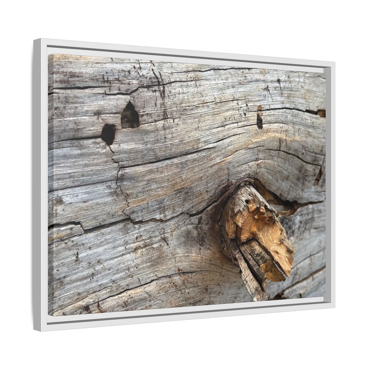 Weathered Wood Texture - Unique Stretched Canvas Wall Art - Art By Earth