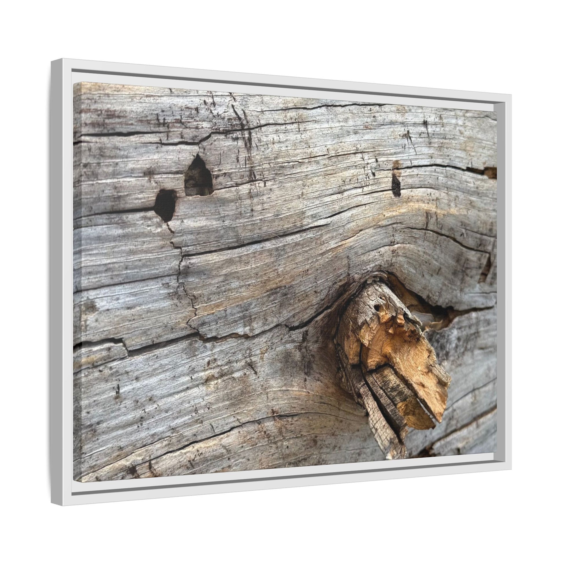 Weathered Wood Texture - Unique Stretched Canvas Wall Art - Art By Earth