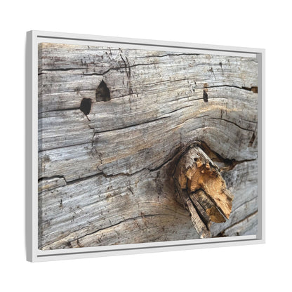Weathered Wood Texture - Unique Stretched Canvas Wall Art - Art By Earth