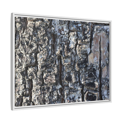 The Bark Chronicles - Unique Stretched Canvas Wall Art - Art By Earth
