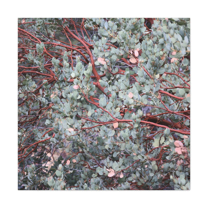 Whispers of Silver and Rust - Unique Frameless Canvas Wall Art - Art By Earth