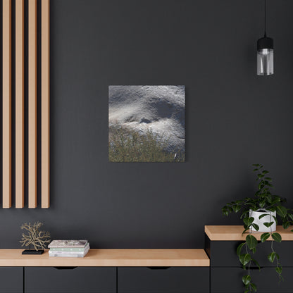 Stone Face in Nature - Unique Frameless Canvas Wall Art