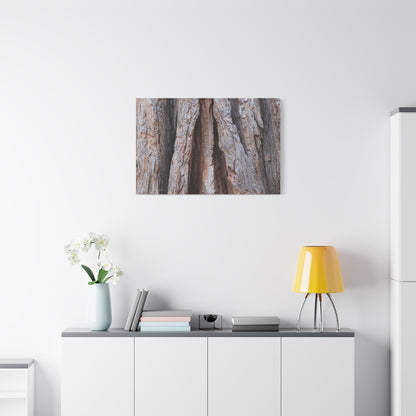 Fractured Skin of Time - Unique Frameless Canvas Wall Art - Art By Earth