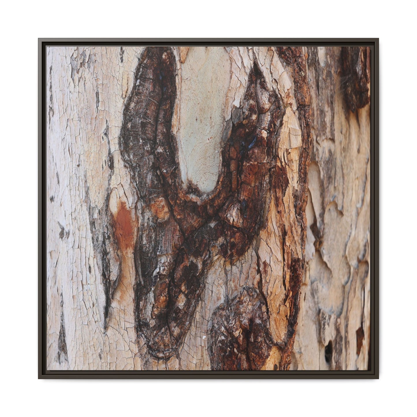 Texture of Time - Unique Stretched Canvas Wall Art - Art By Earth