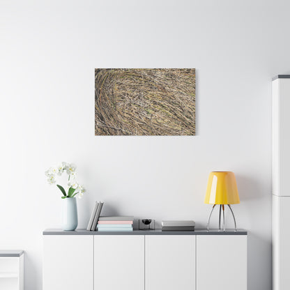 Tangled Hay - Unique Stretched Canvas Wall Art - Art By Earth
