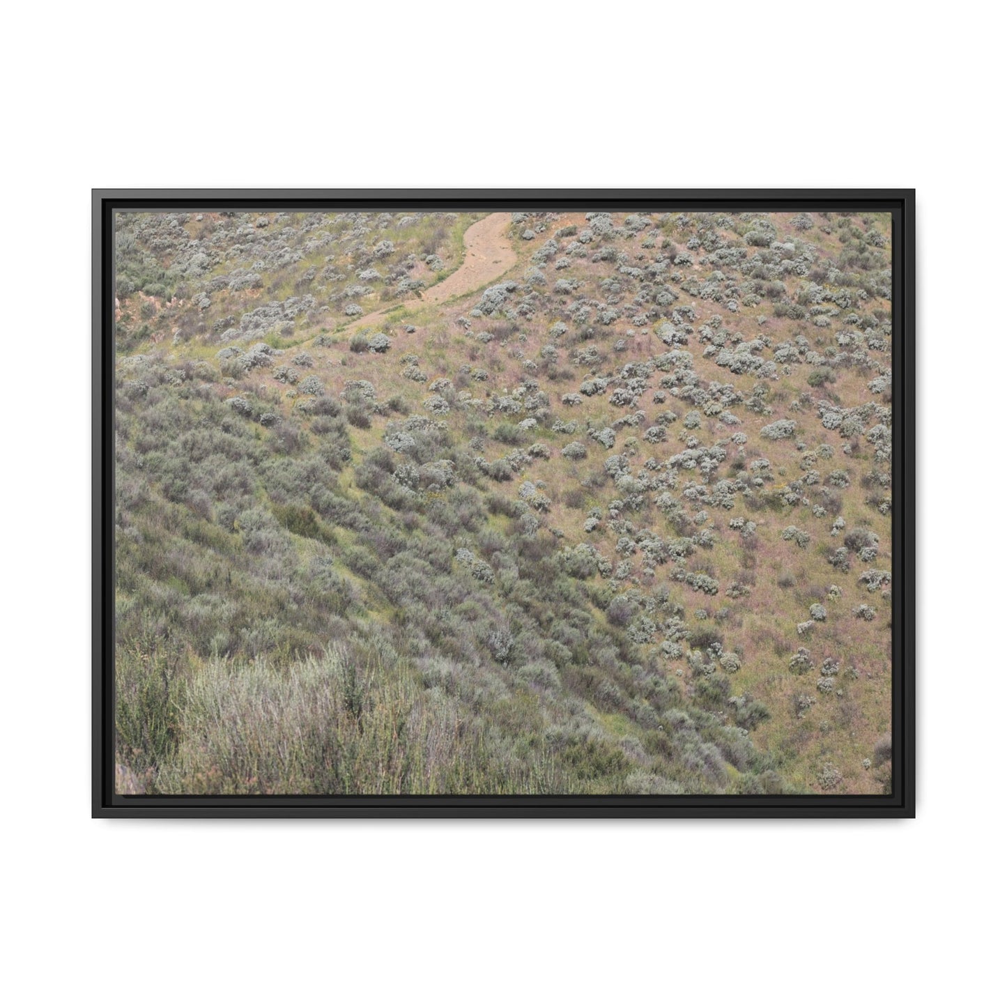 Arid Landscape with Winding Path - Unique Stretched Canvas Wall Art - Art By Earth