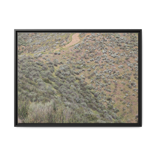 Arid Landscape with Winding Path - Unique Stretched Canvas Wall Art - Art By Earth