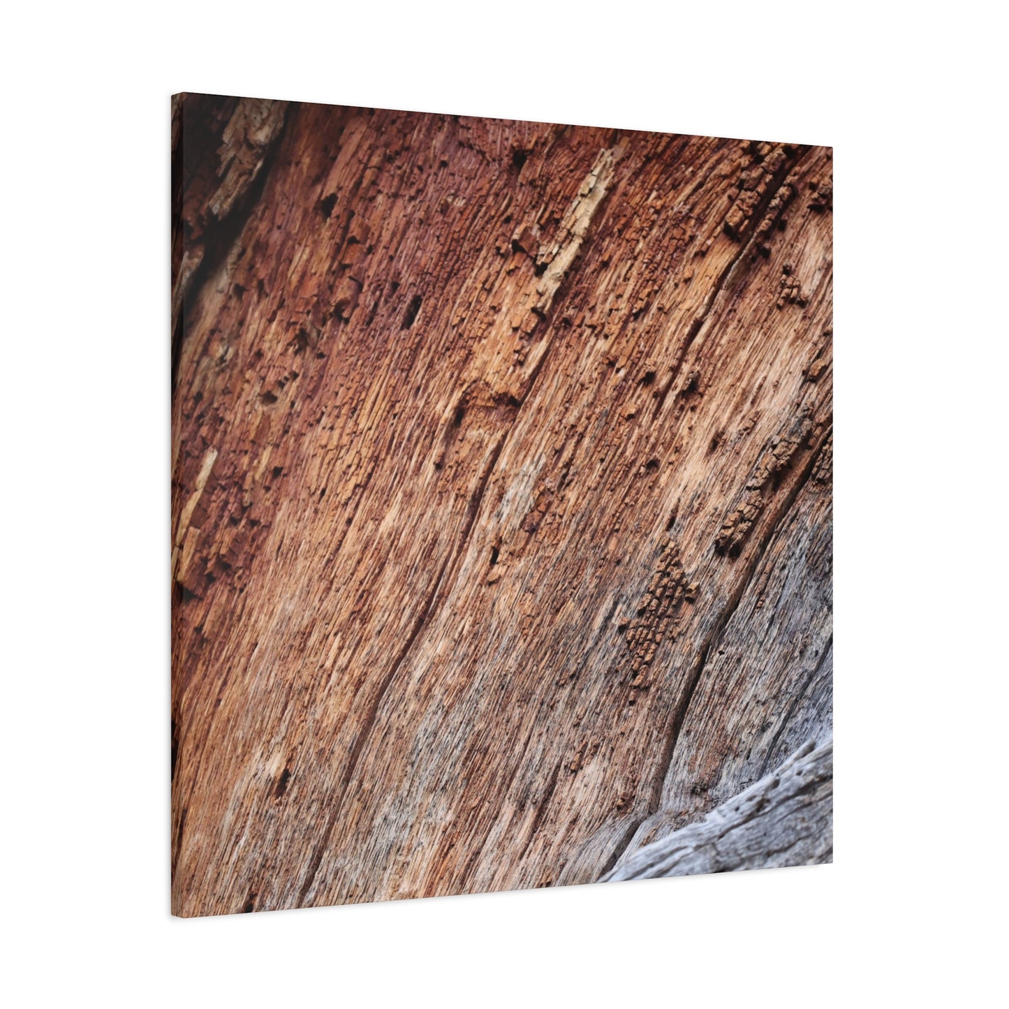 Natural Wood Grain - Unique Frameless Canvas Wall Art - Art By Earth