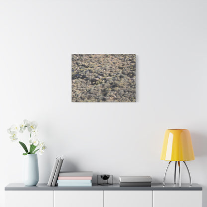 Desert Landscape with Scattered Rocks and Sage - Unique Frameless Canvas Wall Art - Art By Earth